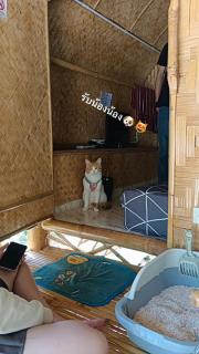 บ้านสวนอุ่นใจรีสอร์ท ณ บางแสน - 7