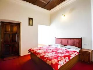 Hotel Himalaya Castle - 1