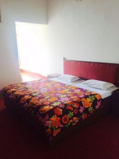 Hotel Himalaya Castle - 1