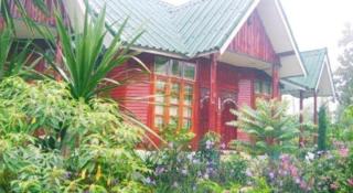 Chiangkhan Greenview Resort - 5