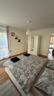 Modern 2 Room Apartment with Balcony in Dresden - 5