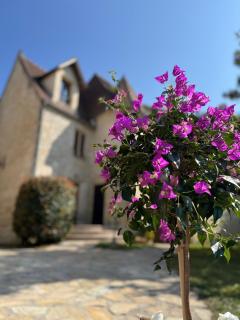Le Château des saveurs - 8
