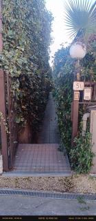 Il Gelsomino - 4