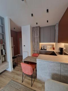 Apartament Loft Boutique Zaciszna 9, Rzeszów - 6