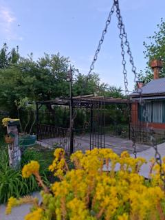 House Ianeti - 5