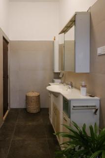 Ayurishi Villa - 1