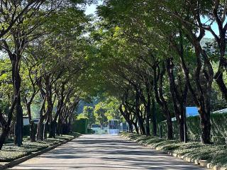 Botanica Foresta Phuket 4 bedroom - 4
