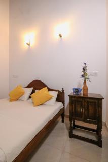 Ayurishi Villa - 2