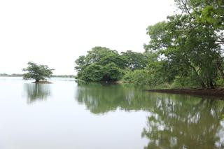 Aji fruit farm cottage peaceful lakeside farm stay with sunrise views 01 - 7