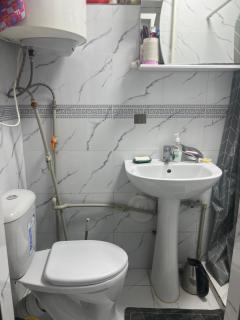 Mansurs house - 2