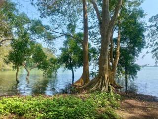 Aji fruit farm cottage peaceful lakeside farm stay with sunrise views 04 - 3