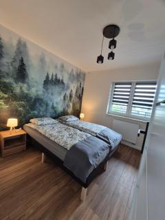Apartament Sielanka Tarnowskie Góry - 4