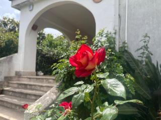 Villa Valeria - 5