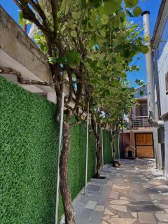Natia Apartments - 4