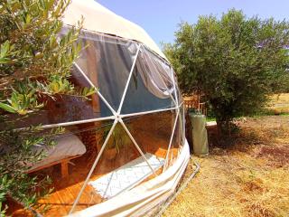 Olive Dome 2 - כיפה גיאודזית קטנה ומודרנית בין עצי הזית - 7