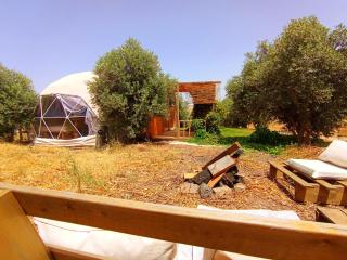 Olive Dome 2 - כיפה גיאודזית קטנה ומודרנית בין עצי הזית - 3