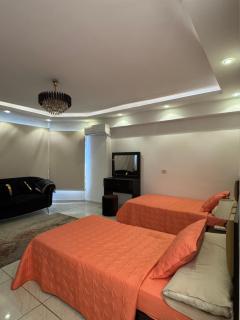 Modern 3BR Apartment in the Heart of Mohandessin - 6