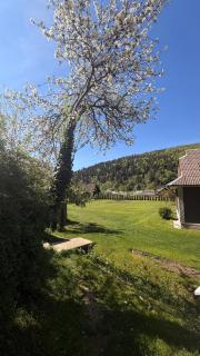 Mountain House - 8
