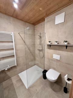 Alpin Studio Schladming 203 - 7