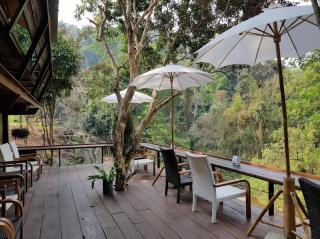 The ForRest Peace Forest แม่กำปอง - 1