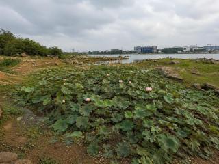 Emberlake Retreat - 4