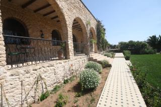 suite majorelle - 7
