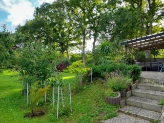 Haus Wald Und Wiese - 1