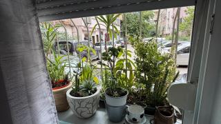 Xhuliza House - 3
