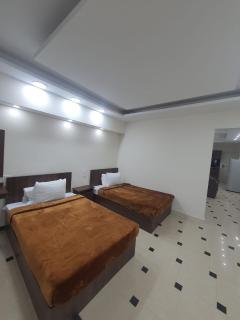 SARAYA AWAD HEGAZI STREET- families only - 5