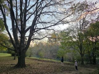 Waterford Manor - 9