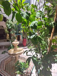 Riad Mille Et Une Nuits - Marrakesh - 9
