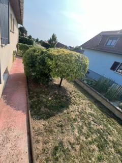 Maison familiale au calme dans le Ried alsacien - 5