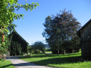 Lassingbauer - Lassing - 4