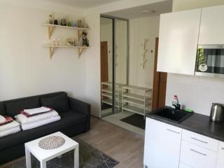 Vilnius Town Apartmen - 9