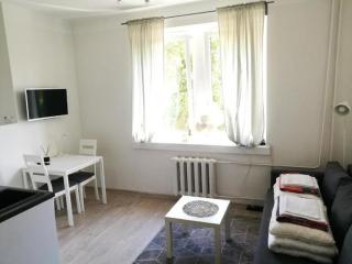 Vilnius Town Apartmen - 8