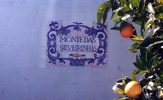 Monte das Silveirinhas - Casa Rural - Silveiras - 9