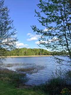 Alexandra Forest Lake House - 9