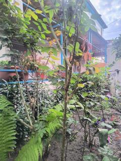 Stuffstock Hostel - 7