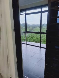 Sunset Grove - 2