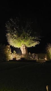 Maison La Béa-titude - 2