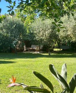 Il noce - case vacanza- - 5