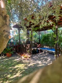 Il noce - case vacanza- - 2