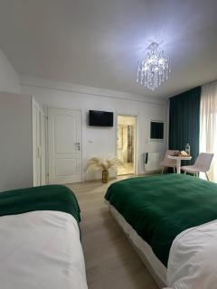 Vila Zoe BucharestAirport&Therme&Park Otopeni 2 - 6