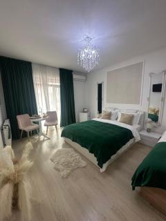 Vila Zoe BucharestAirport&Therme&Park Otopeni 2 - 4