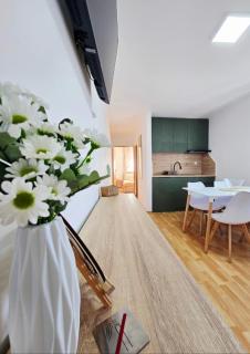 Apartmani Marija - Vila Marija - 0
