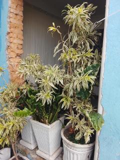Hostel mineiro - 2