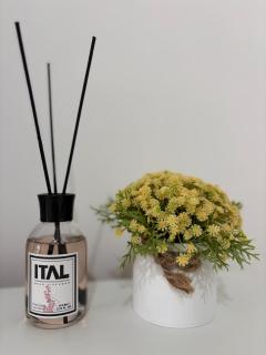 Danuvia Studio 2 - 2