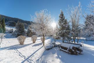 PARKVILLA Vital - Schladming - 6