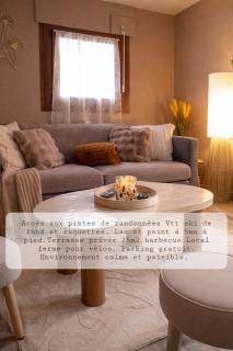 Au Doubs lac, Cosy 4 pers Terrasse ,Ski et Nature - 9