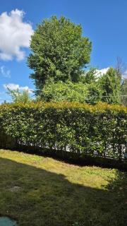 Appartamento moderno e spazioso con giardino privato - 3
